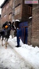 شاهد: وصول موظف  توصيل أمازون على ظهر الخيل المغطاة بالثلوج