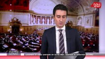 Crise sanitaire en Outre-mer : audition de Sébastien Lecornu - Les matins du Sénat (14/01/2021)