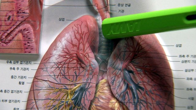 코로나19 치료 후에도 탈모·피로감·폐기능 저하 등 후유증 / YTN