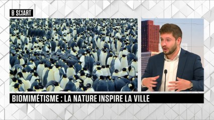 SMART TECH - Le rendez-vous du lundi 26 octobre 2020