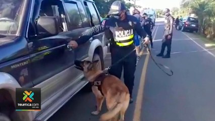 tn7-unidad-canina-incauto-tres-toneladas-de-droga-el-año-pasado-140121