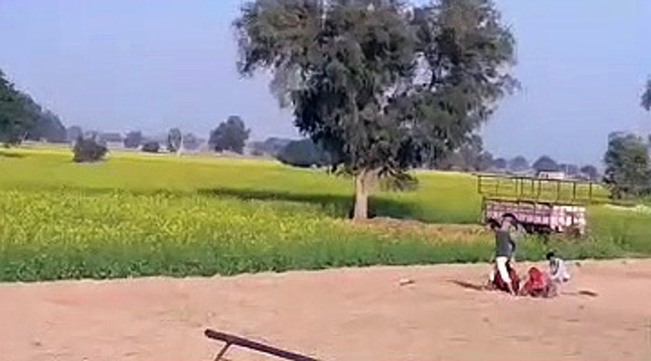 Village Farmland Scenes