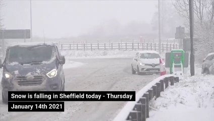 Snow in Sheffield - Thursday January 14th 2021