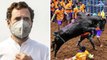 Politics over Jallikattu ahead of Tamil Nadu polls; Bhupinder Mann quits SC panel on farm laws; more