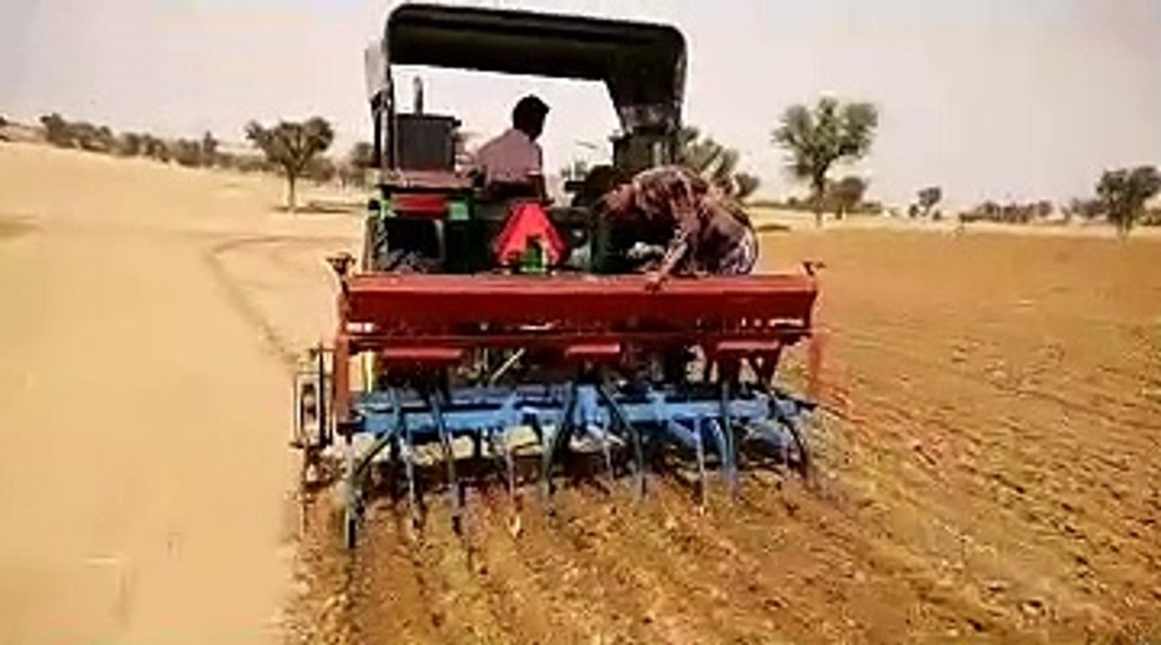 Farmers Working In Field