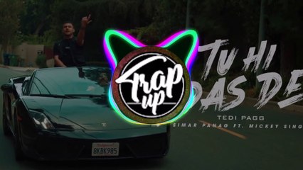 Tu hi das de - Tedi Pagg  [ BASS BOOSTED ]