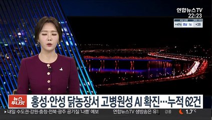 홍성·안성 닭농장서 고병원성 AI 확진…누적 62건