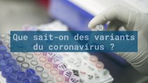 Les variants du coronavirus