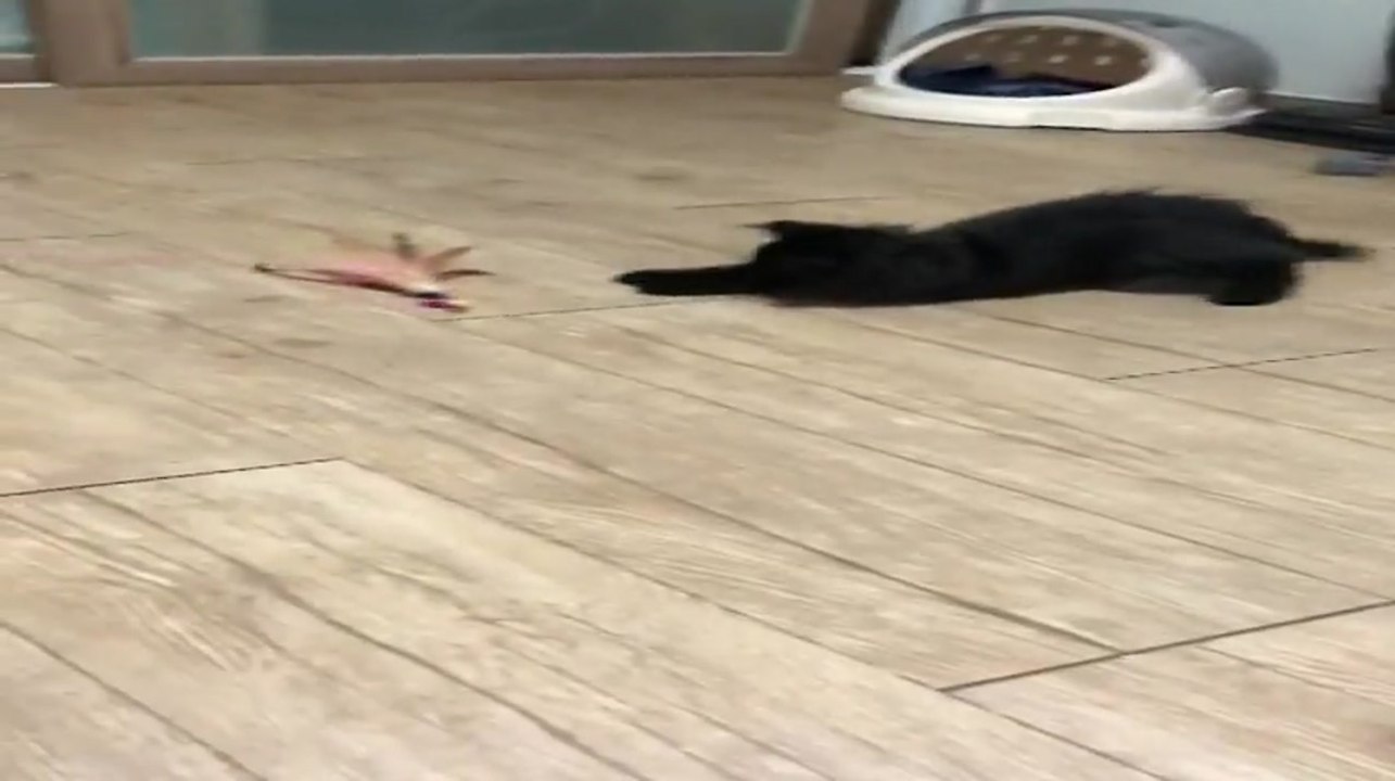 코미디빅리그 316회
