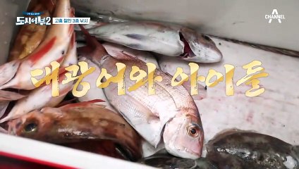 기록 大광어 해체 준비 끝! 오늘의 요리는? 최대어 등장!