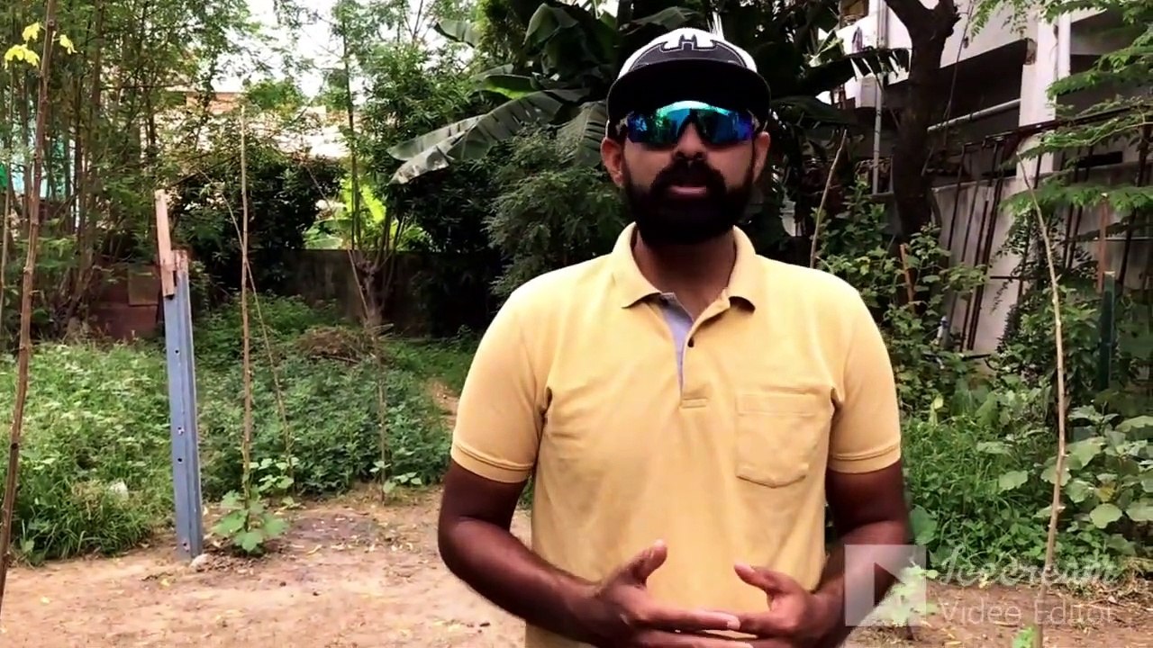 flowerhorn farm in chennai _ flowerhorn breeding in tamil_ wholesale and retail flowerhorn farm