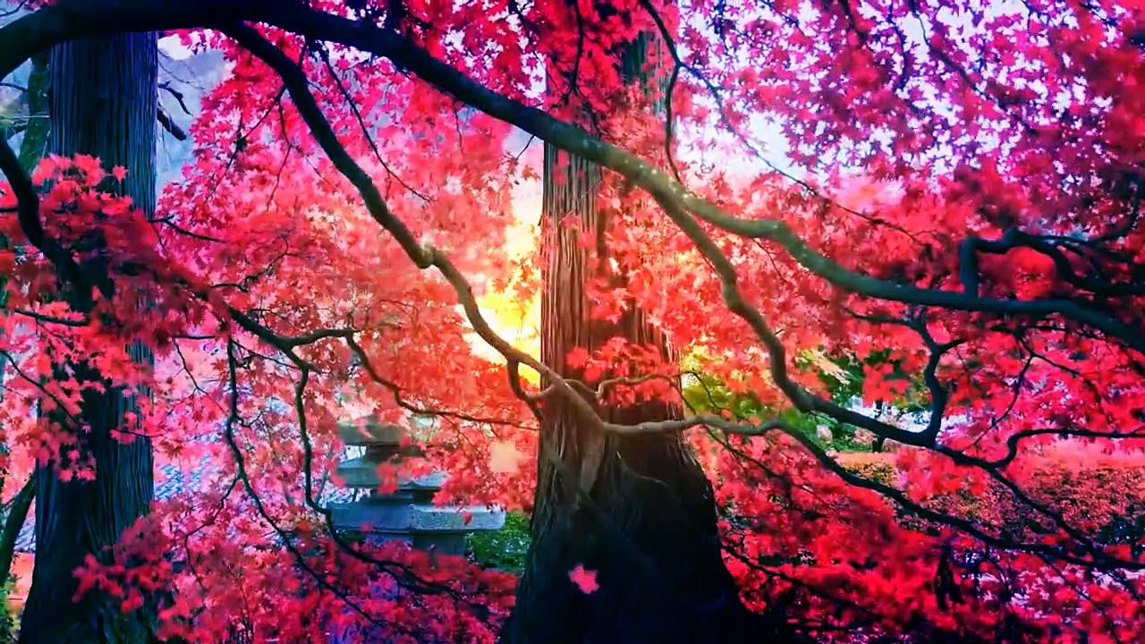 Beauty Around Us ¦ Beautiful Music