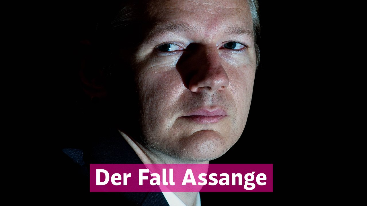 Assange: Vom Whistleblower zum Staatsfeind (Die Wikileaks-Story)