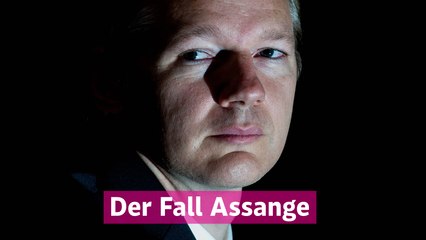 Download Video: Assange: Vom Whistleblower zum Staatsfeind (Die Wikileaks-Story)