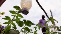 Solar-powered irrigation system for Rwandan farmers