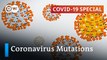 What do the current mutations mean for the coronavirus pandemic- - COVID-19 Special