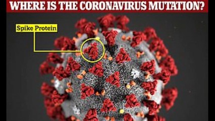 coronavirus new variant Urdu video