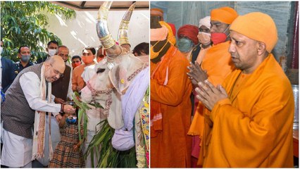 From Amit Shah to Yogi: How leaders celebrate Sankranti 2021