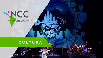 La Mojarra Eléctrica, el colectivo que busca visibilizar la cultura afrocolombiana
