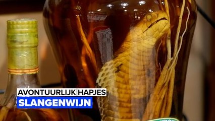 Download Video: Avontuurlijke hapjes: Slangenwijn