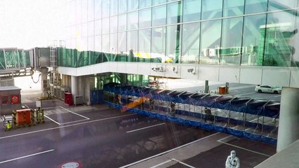 WHO 조사단 10명, 中 우한 도착...美·英·日 전문가 포함 / YTN