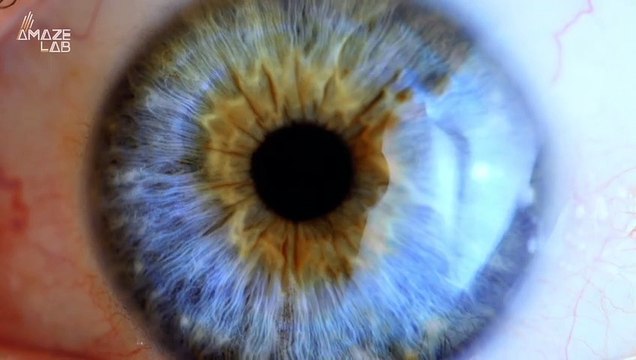 Scientists Develop Technique That Could Cure Blindness