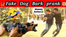 Fake dog bark prank | Pranks in Pakistan | Dog prank | Fun car |