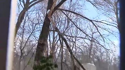 Filomena cambia para siempre la imagen del Parque del Retiro