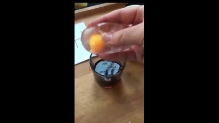 Fun of simple science experience with egg - Funny Dailymotion Video