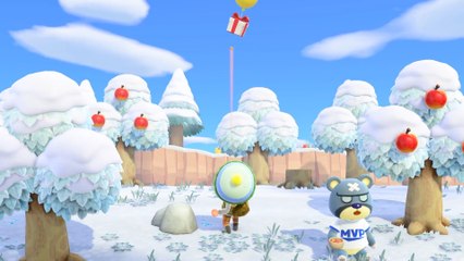 Animal Crossing - New Horizons - Exploring January