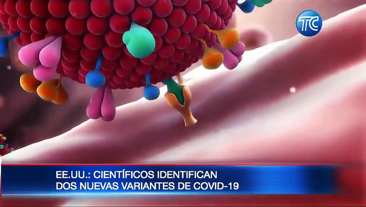 VIDEO | Descubren dos nuevas cepas del COVID-19...