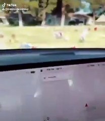 Sensores de un auto Tesla detectan a supuesto fantasma en un cementerio