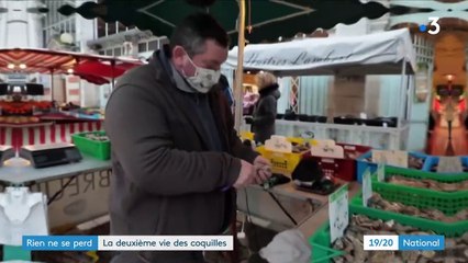Huîtres : la seconde vie des coquilles