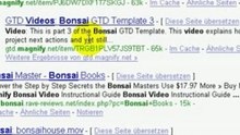 www.amorsrome.ch - Bonsai