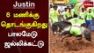 8 மணிக்கு தொடங்குகிறது பாலமேடு ஜல்லிக்கட்டு | Palamedu | madurai | Jallikattu