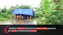 Sungai Meluap, Tiga Desa di Jember Banjir