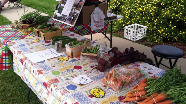 Deep Dive Regenerative Farms can Supply Local Food