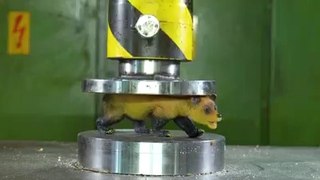 Hydraulic press crush compilation