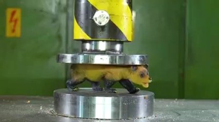 Hydraulic press crush compilation