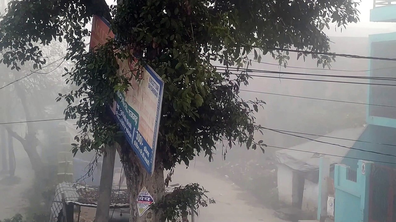 कोहरे की चादर में लिपटा रहा जिला, ठंड बढ़ी