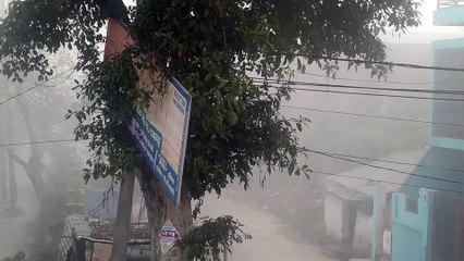 कोहरे की चादर में लिपटा रहा जिला, ठंड बढ़ी