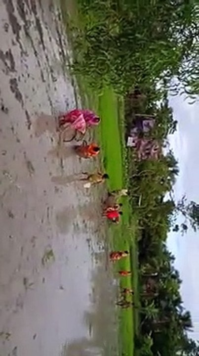 injoy Village Life