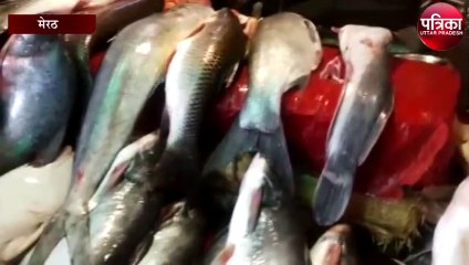 बर्ड फ्लू के चलते तेजी से बढ़ी इस चीज की डिमांड