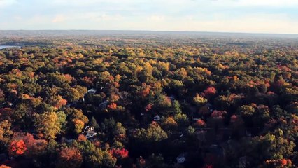 Marvel's WandaVision (Disney+) Tomorrow Promo (2021)