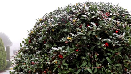 - Sakarya’da kar yağışı etkisini gösteriyor