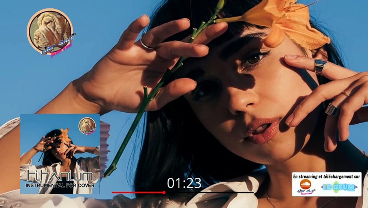 Titanium (David Guetta ft. Sia) version acoustique