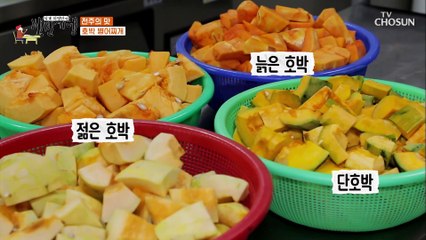 귀한 생물 병어로 끓이는 호사스러운 전주의 맛↗ TV CHOSUN 20210115 방송