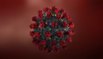 Coronavirus : l'immunité durerait au moins 8 mois selon une étude