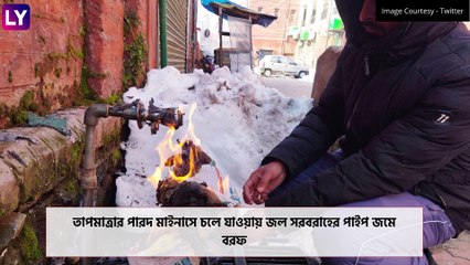 Dal Lake Freezes: ঠান্ডায় জমে বরফ ডাল, তীব্র ঠান্ডায় কাঁপছে উত্তর ভারত