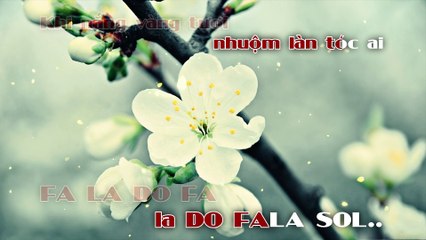 Cánh Thiệp Đầu Xuân - Tone C5 | Karaoke Flute